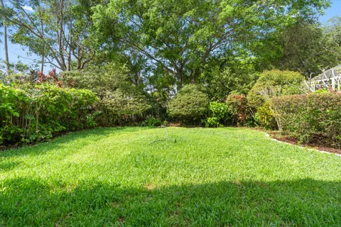 a view of a backyard with plants