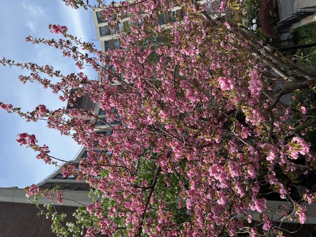 4455 Douglas Avenue, Unit 8A Bronx, NY 10471 - Photo 19 of 22