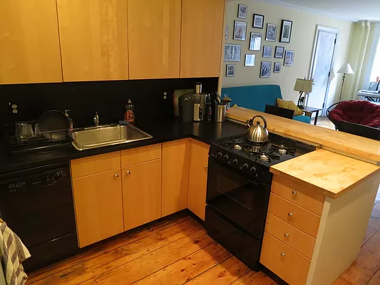 237 Union Street, Unit GARDEN Brooklyn, NY 11231 - Photo 9 of 11