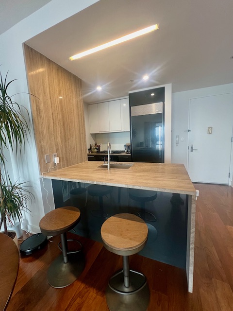 2 Northside Piers, Unit 26C Brooklyn, NY 11249 - Photo 10 of 21 a room with furniture and a potted plant