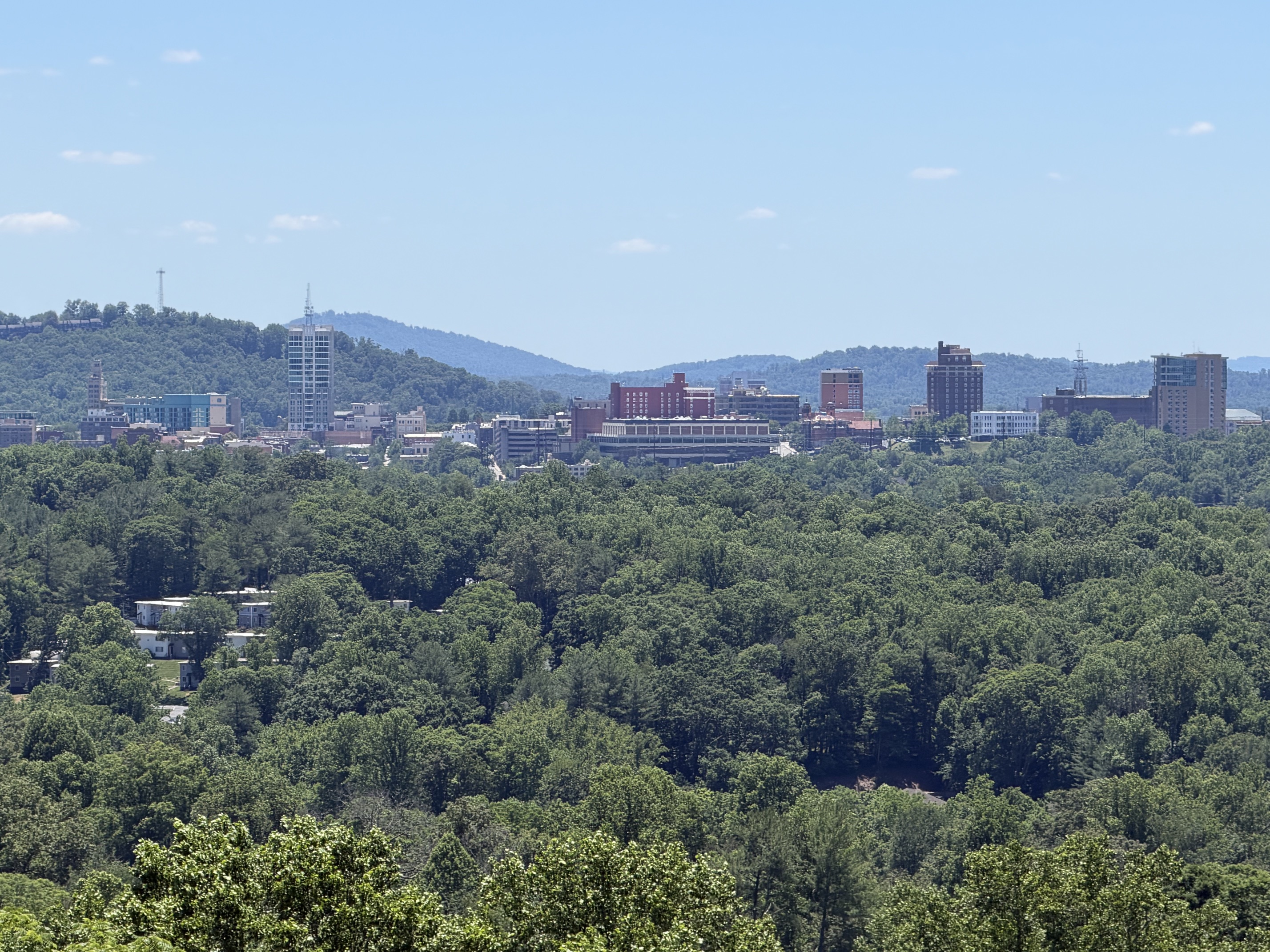 38 Lookout Road Asheville, NC 28804 - Photo 5 of 6