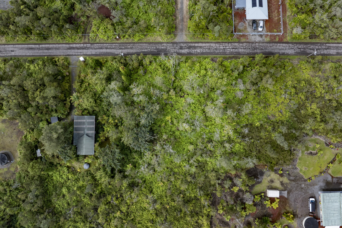 Anuhea Street Volcano, HI 96785 - Photo 10 of 22 a view of a large yard with a large tree and plants