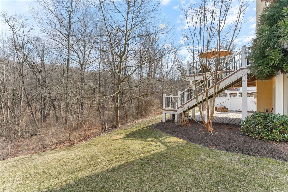 248 Valley Ridge Road Haverford, PA 19041 - Photo 40 of 44 a tree in the middle of a yard