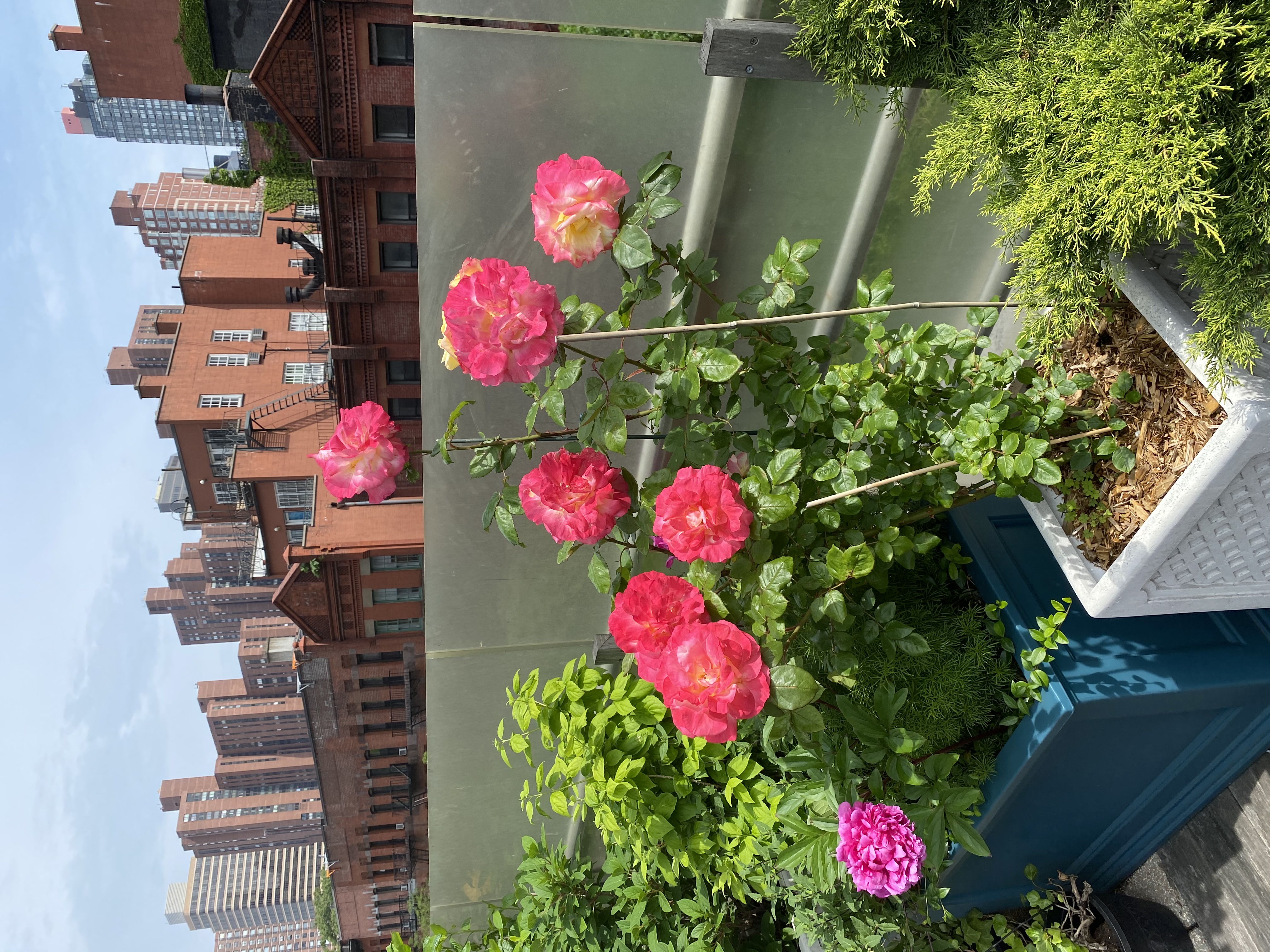 360 East 88th Street, Unit 4E Manhattan, NY 10128 - Photo 15 of 28