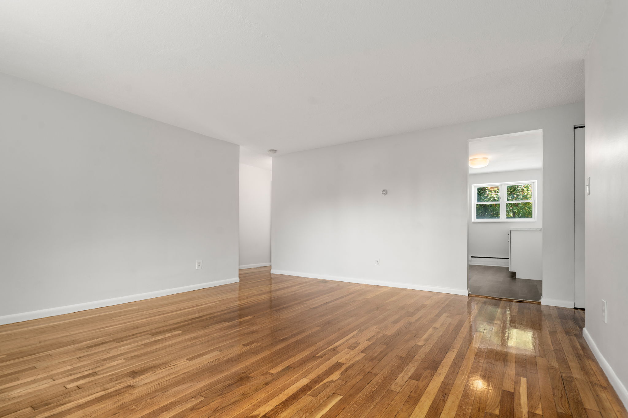 47 Colborne Road, Unit 1 Brighton, MA 02135 - Photo 6 of 23 Gallery Image 6