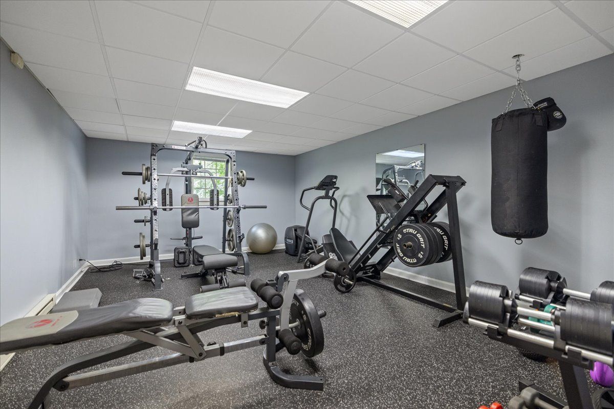 a view of field with large trees