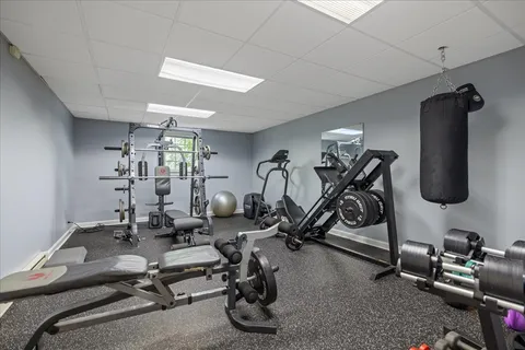 a view of field with large trees