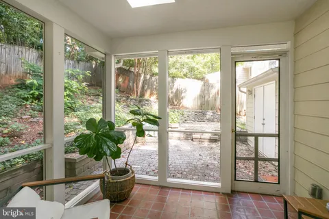 a view of a potted plant in front of a window