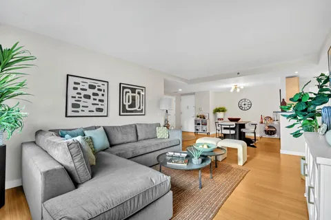 a living room with furniture potted plant and a window