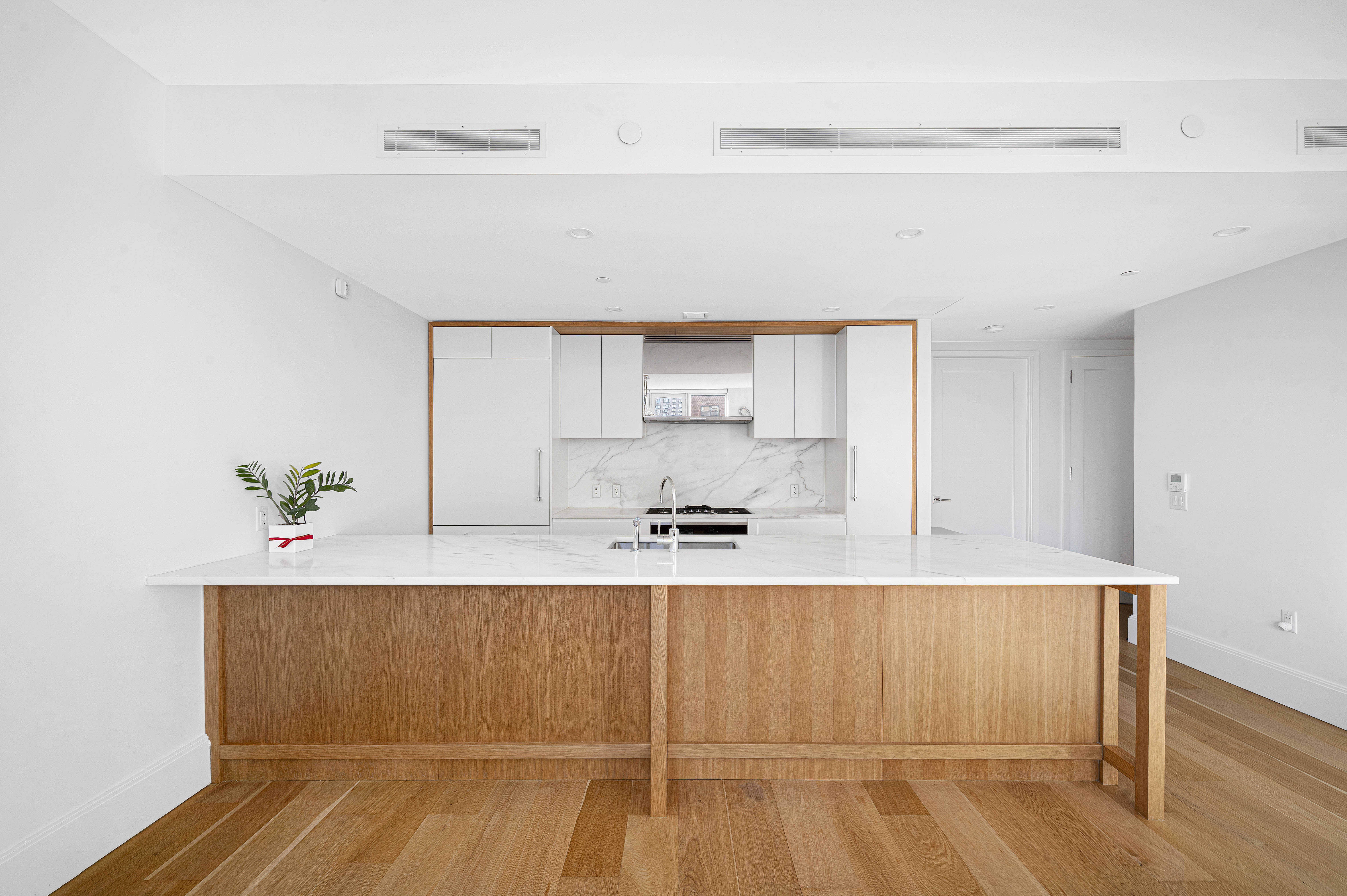 368 3rd Avenue, Unit 11A Manhattan, NY 10016 - Photo 3 of 17 a room with a wooden floor and potted plant