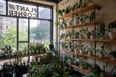 $600,000 | 1787 Madison Avenue, Unit 402 | Harlem