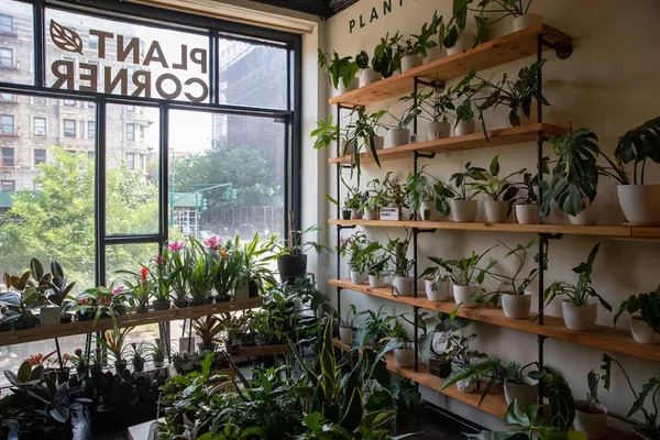 $600,000 | 1787 Madison Avenue, Unit 402 | Harlem