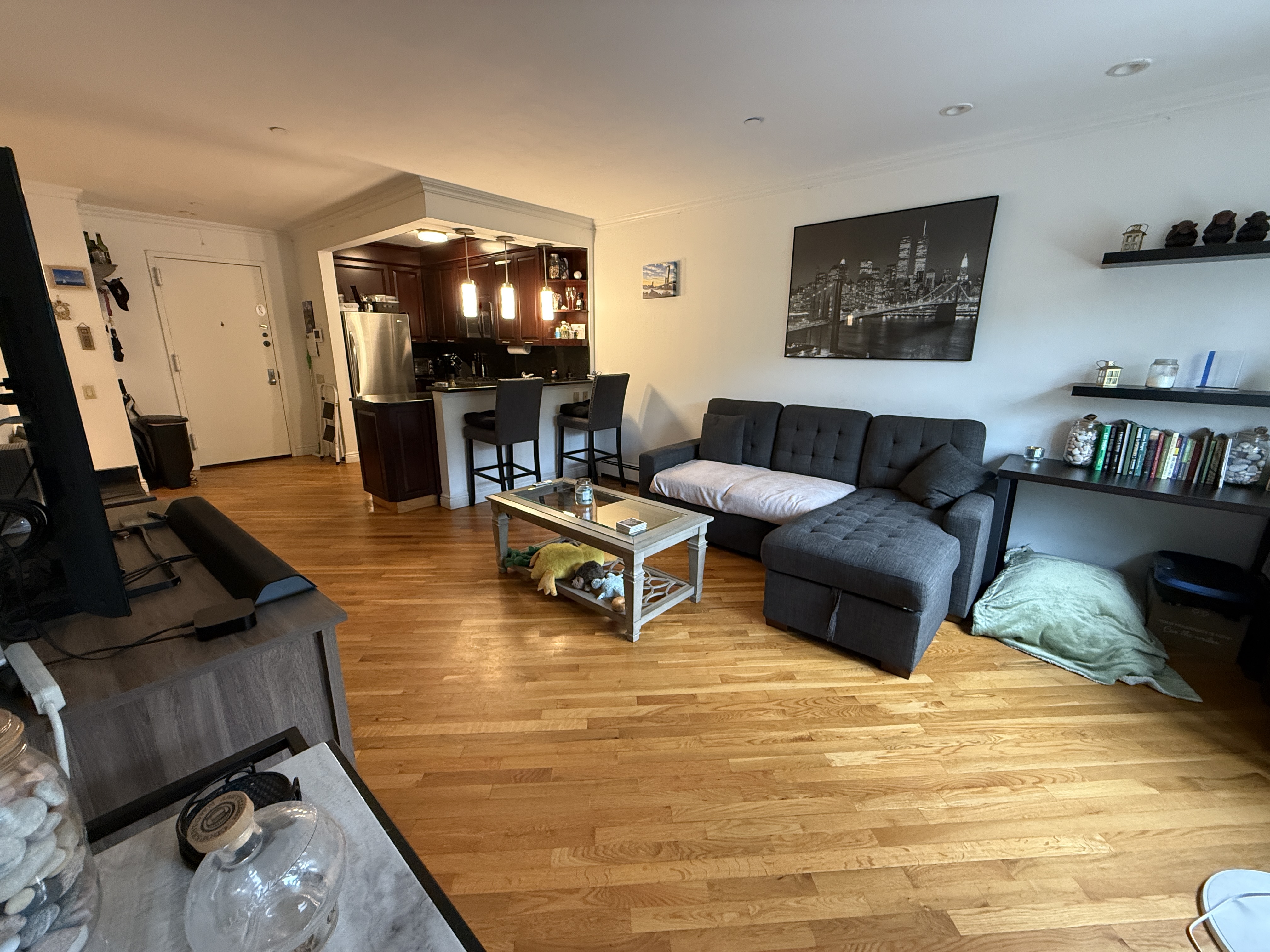 101 Prospect Park Southwest, Unit 3B Brooklyn, NY 11218 - Photo 5 of 23 a living room with furniture and a flat screen tv