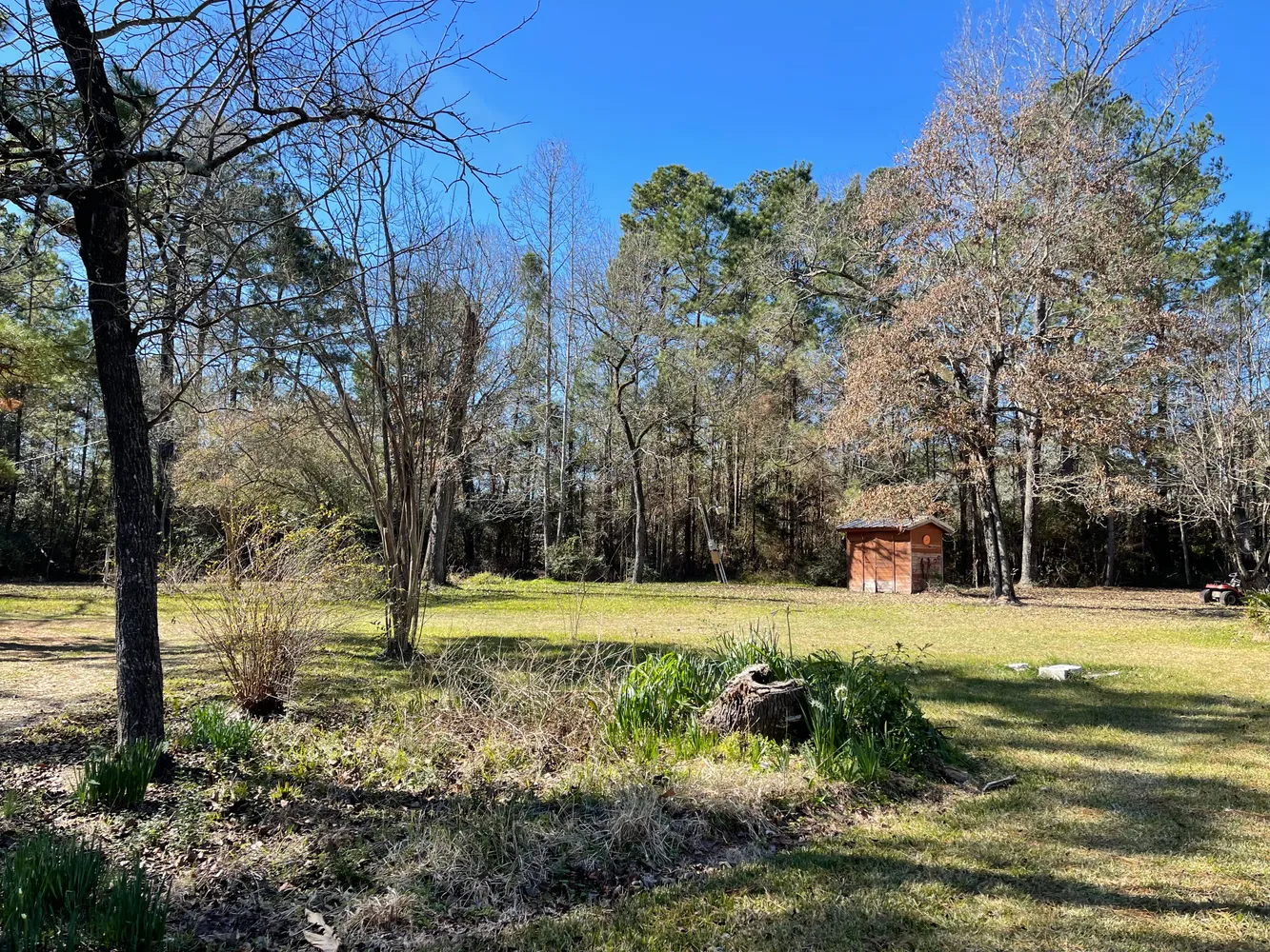 a view of outdoor space with trees all around