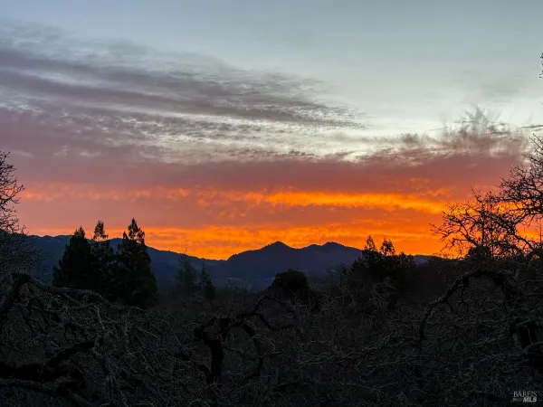 $2,995,000 | 807 Wild Oak Drive, Santa Rosa, CA 95409