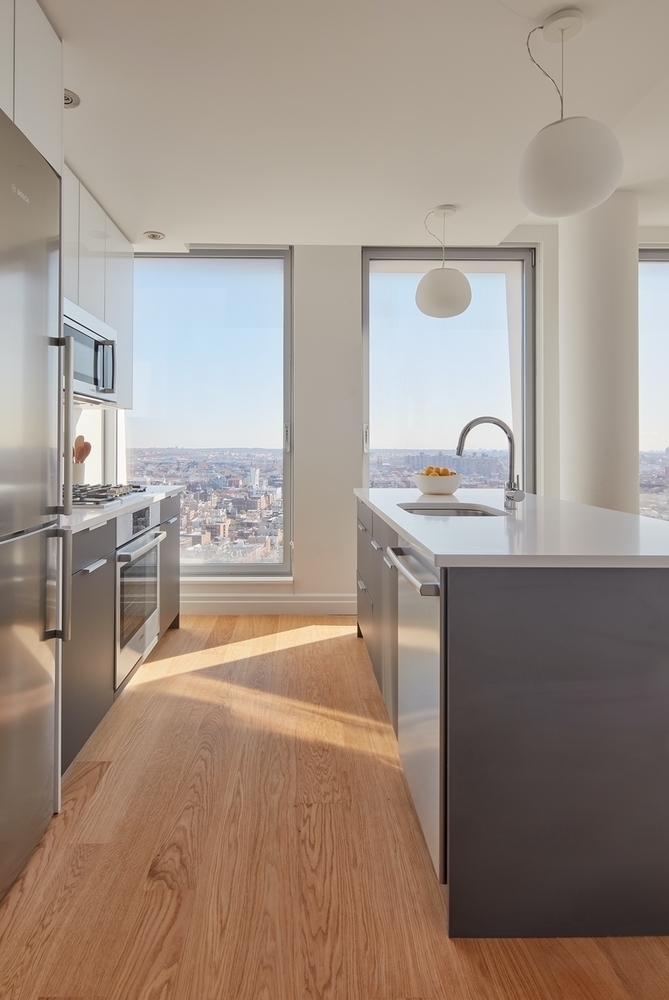 1 South 1st Street, Unit PH1C Brooklyn, NY 11249 - Photo 5 of 27