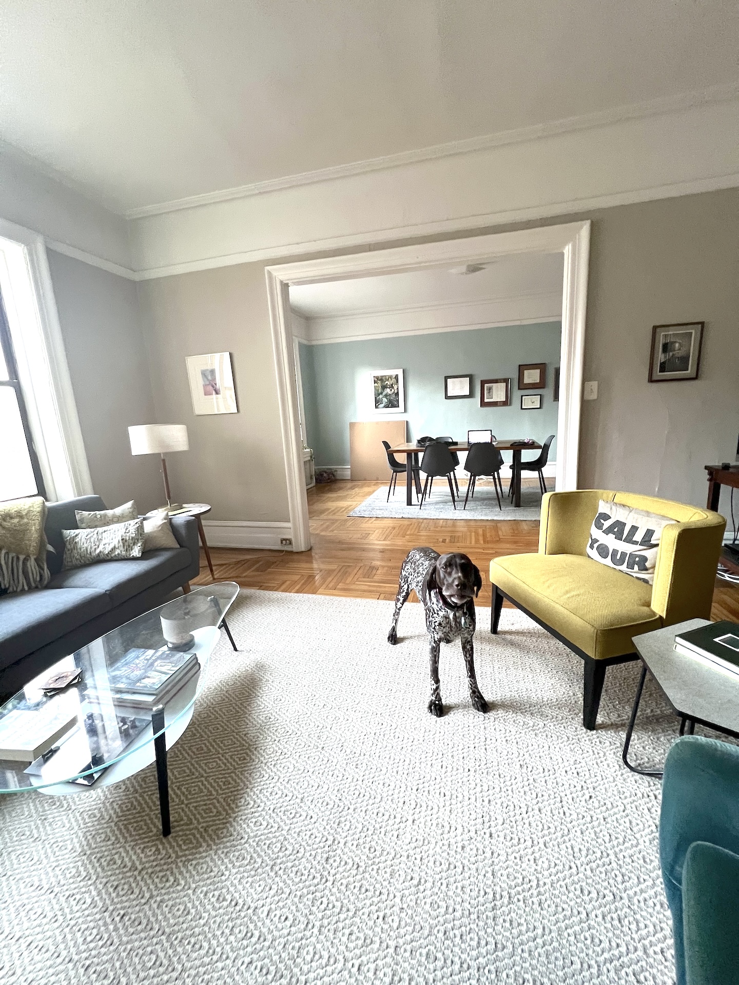 59 Livingston Street, Unit 4C Brooklyn, NY 11201 - Photo 5 of 11 a living room with furniture and a table
