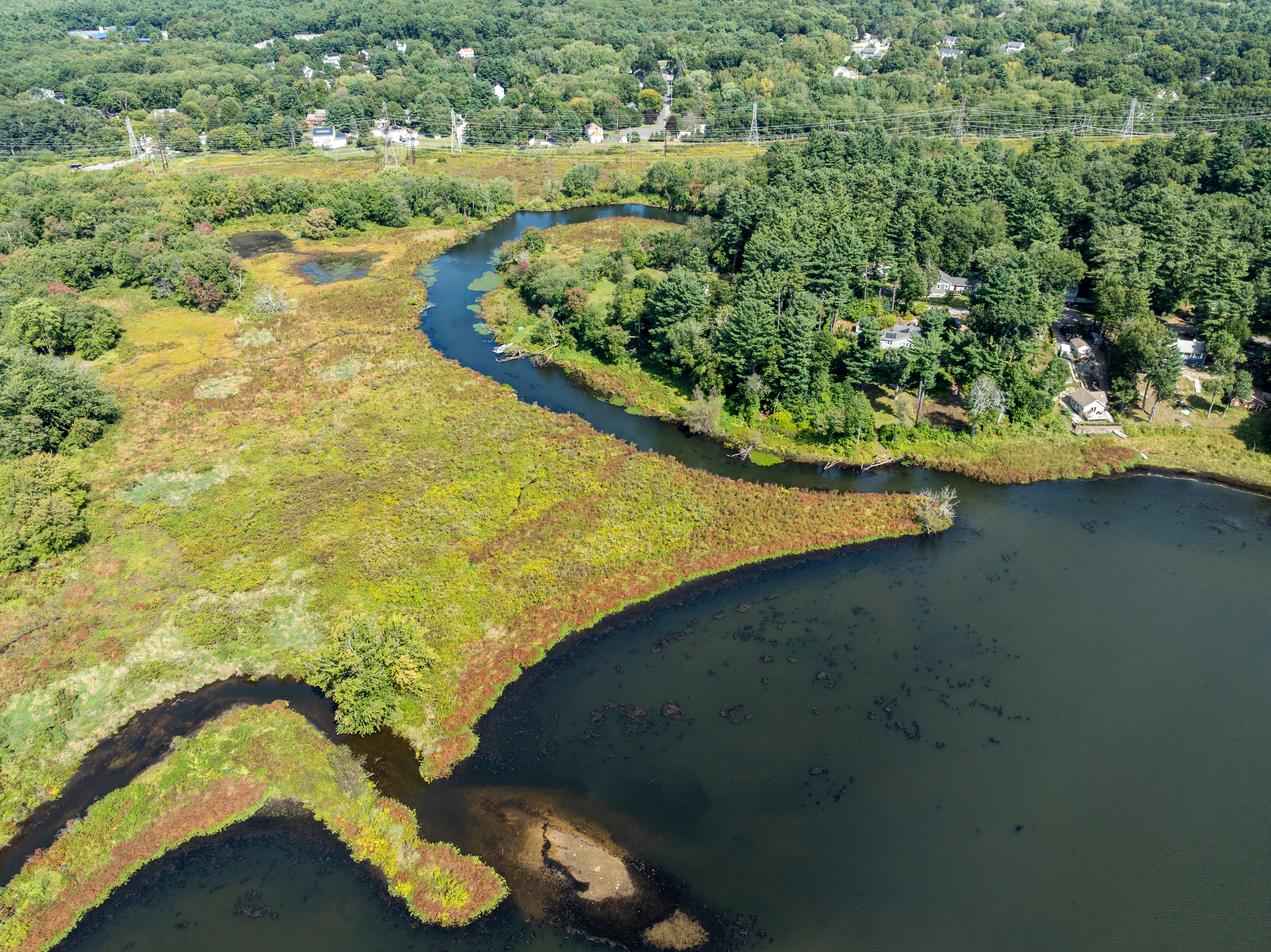 14 Old Populatic Road Norfolk, MA 02056 - Photo 27 of 36 Gallery Image 27