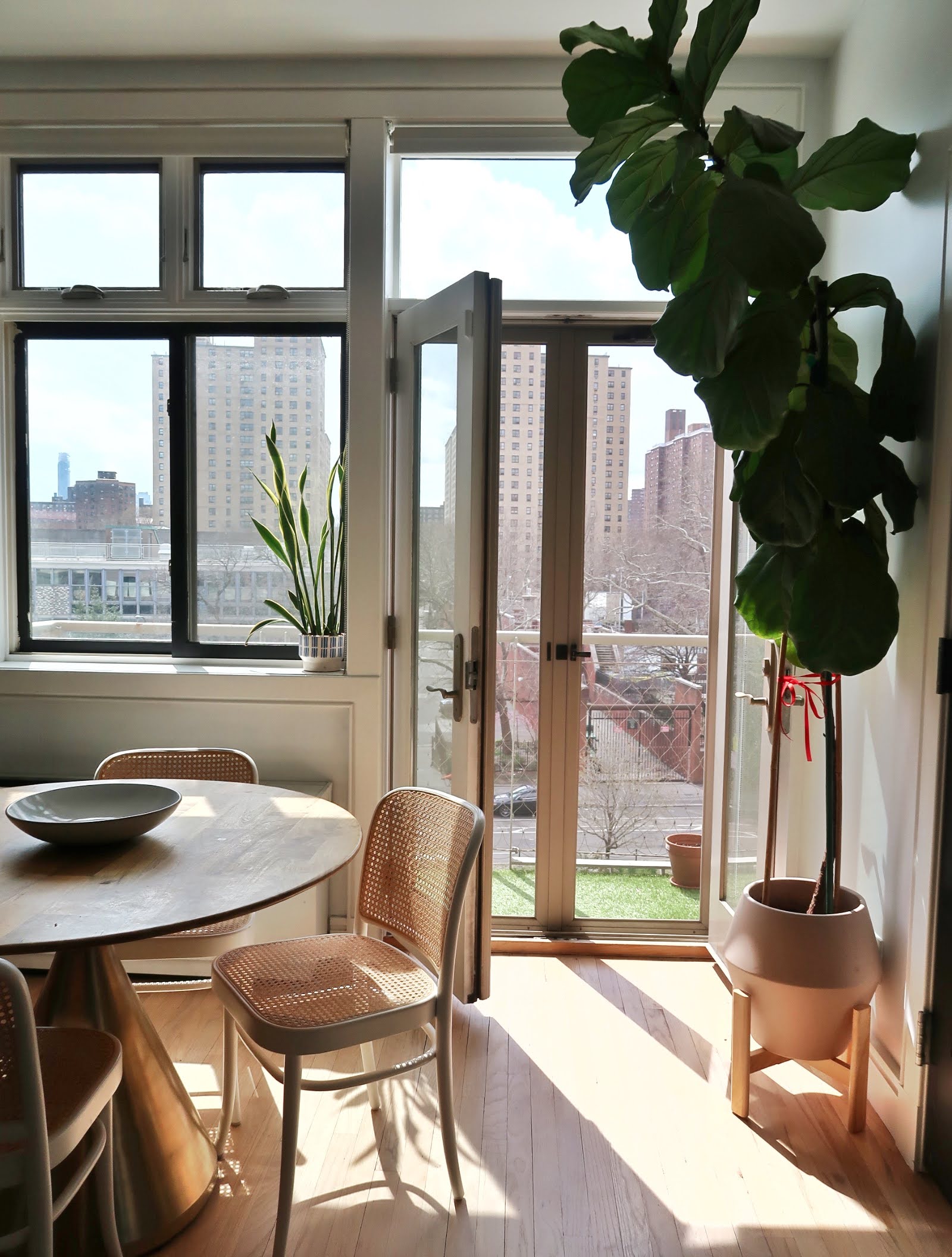 296 East 2nd Street, Unit 4G Manhattan, NY 10009 - Photo 4 of 14 a living room with furniture and a potted plant