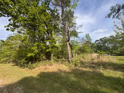 $15,000 | 20 Lake Forest Drive, Livingston, TX 77351