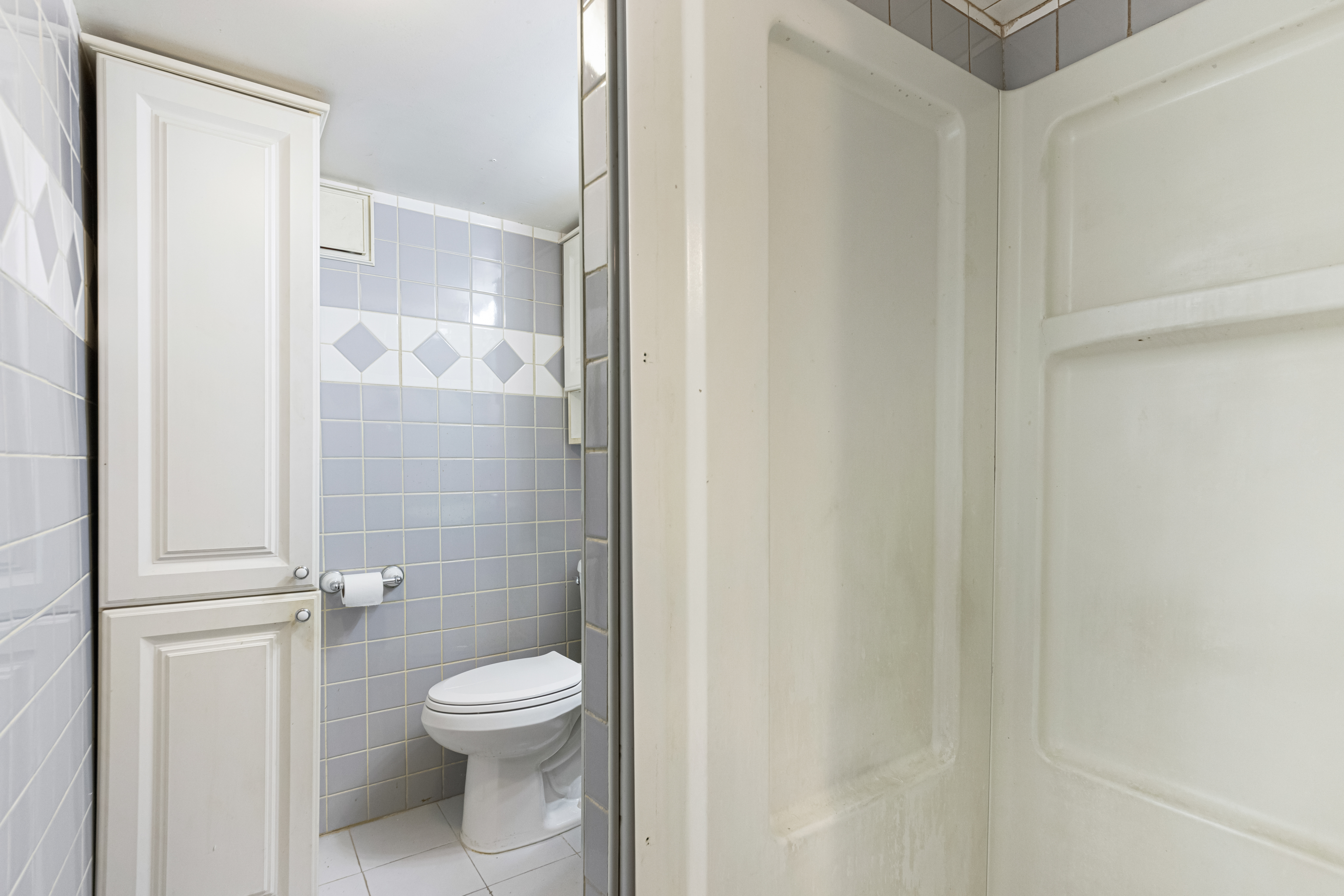 1874 Ryder Street Brooklyn, NY 11234 - Photo 16 of 20 a bathroom with a toilet and a shower