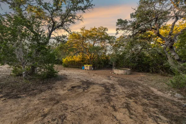 a view of a forest with trees in the background