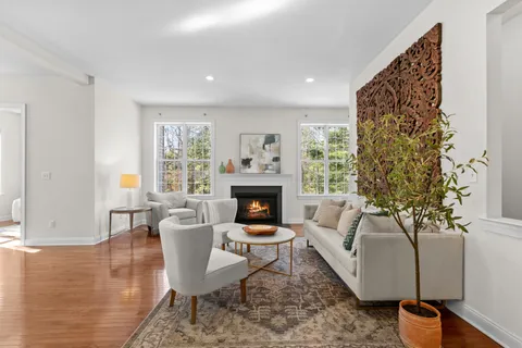 a living room with furniture a fireplace and a potted plant