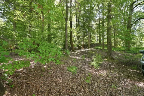 Contact Agent | 11815 Beekman Place, Rockville, MD 20854