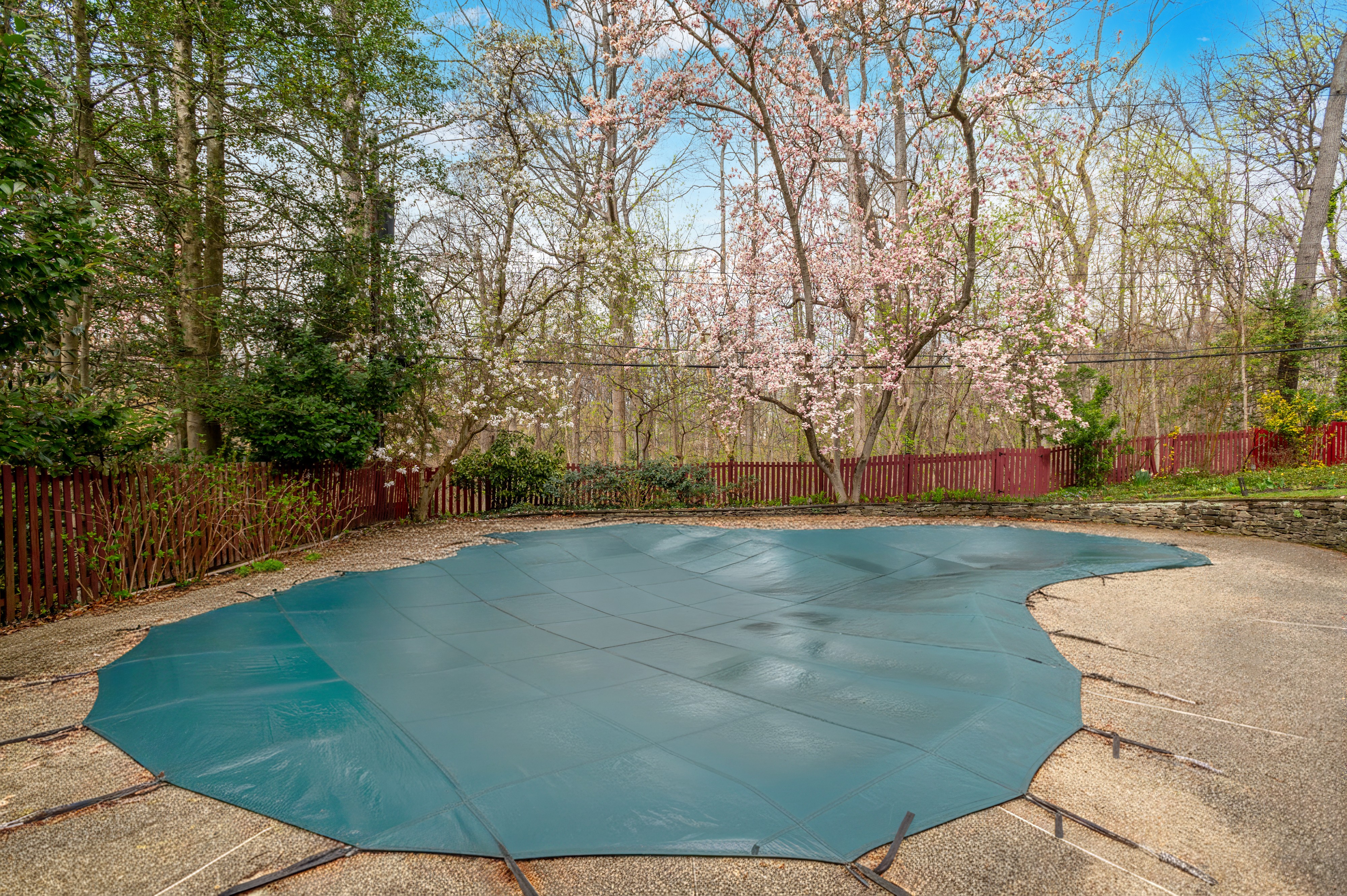 5344 Falmouth Road Bethesda, MD 20816 - Photo 6 of 17