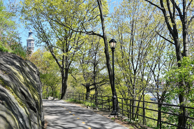 433 West 162nd Street, Unit 1 Manhattan, NY 10032 - Photo 12 of 13 a view of backyard and trees