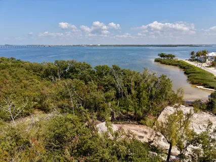a view of a lake in middle of forest