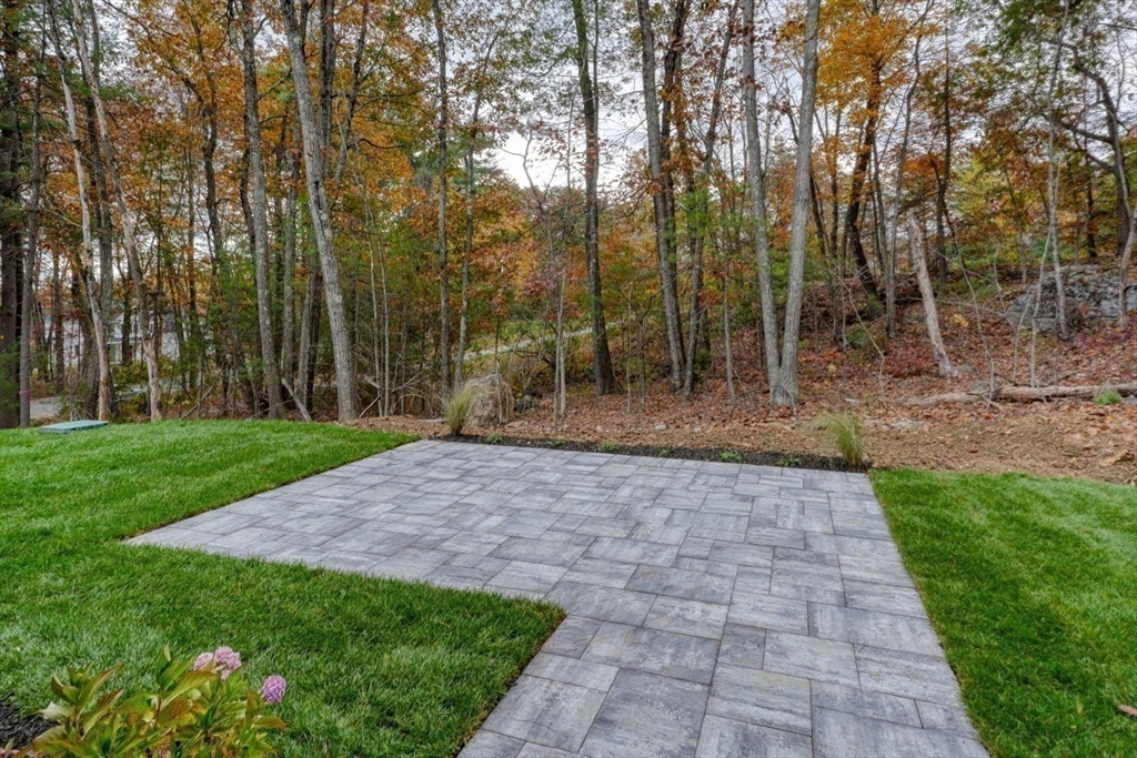 171 Randall Road Berlin, MA 01503 - Photo 15 of 41 a view of a yard with trees
