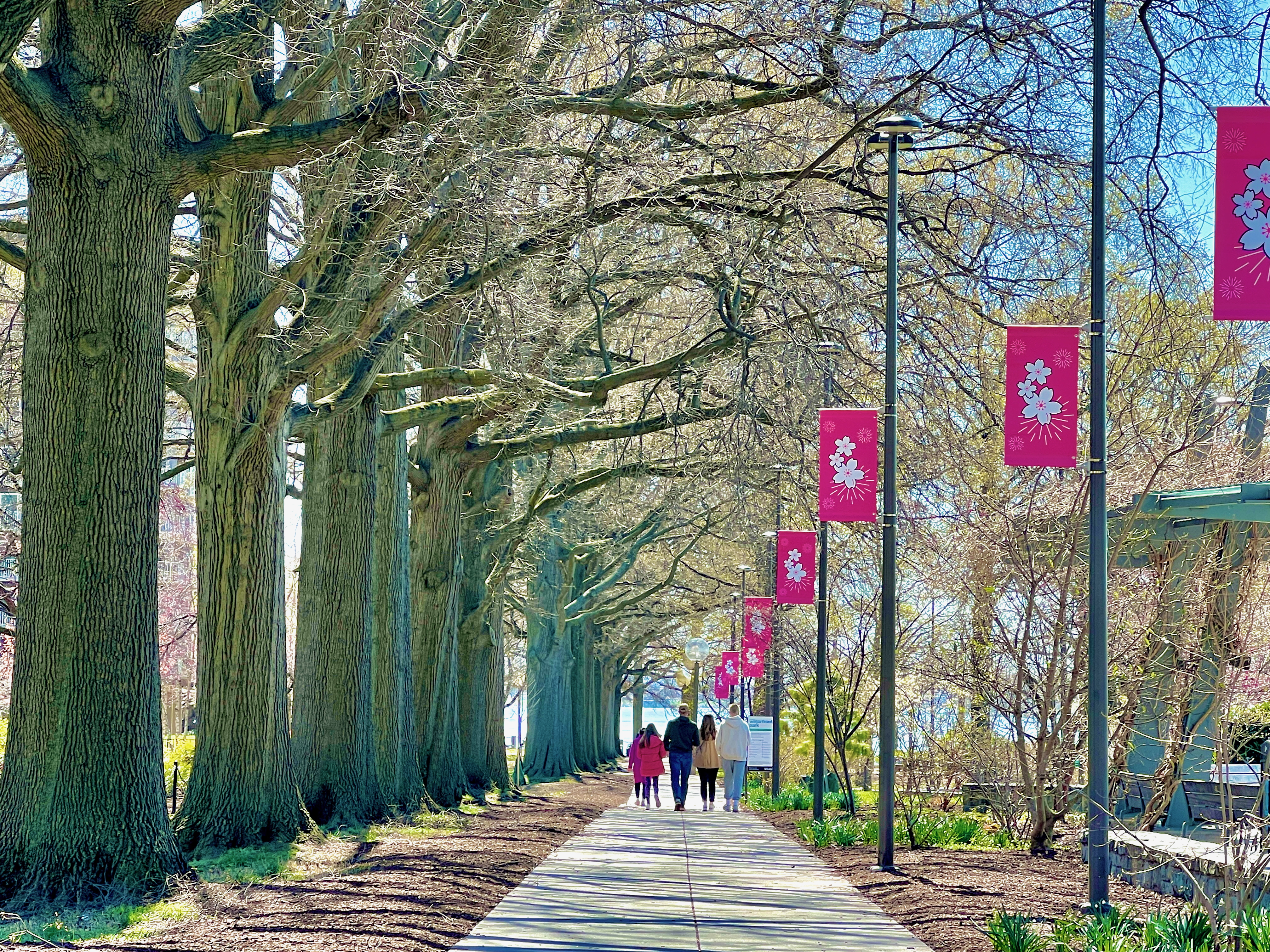 430 M Street Southwest, Unit N502 Washington, DC 20024 - Photo 16 of 25