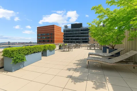 a view of a patio with couches and potted plants