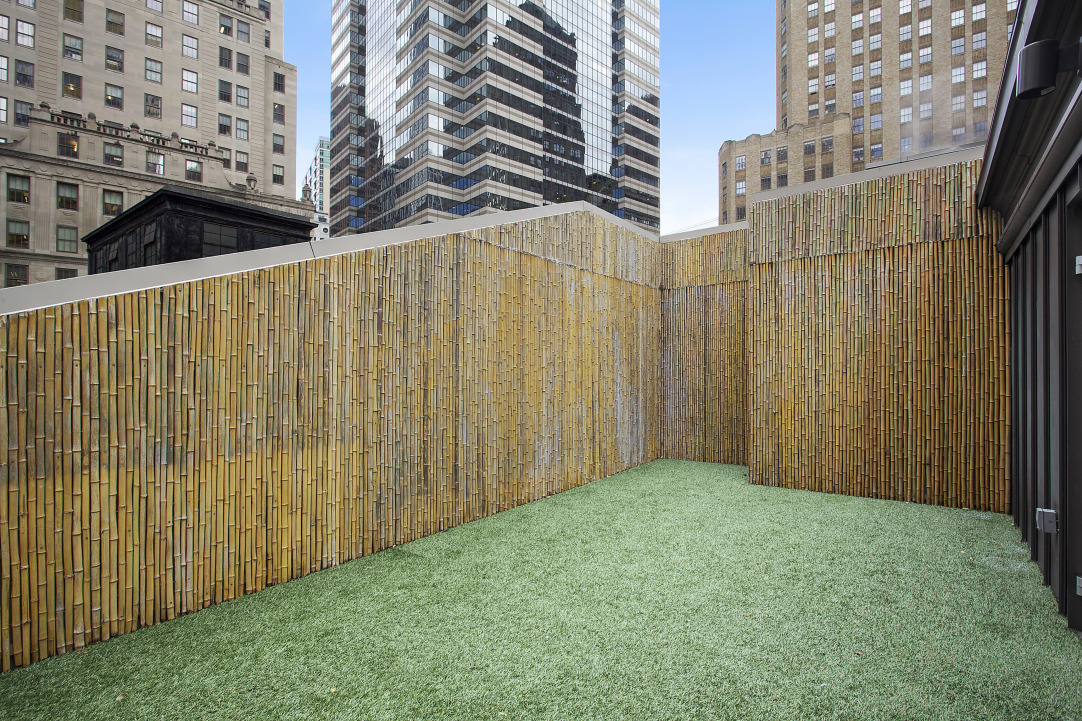 55 Wall Street, Unit PH910 Manhattan, NY 10005 - Photo 4 of 11 a view of a backyard