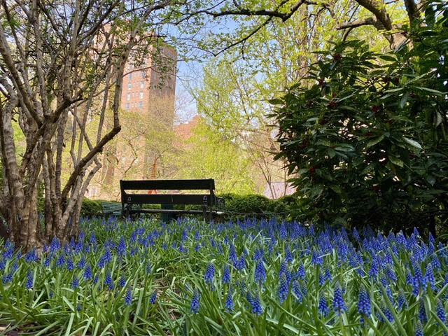 45 Gramercy Park North, Unit 14B Manhattan, NY 10010 - Photo 17 of 21