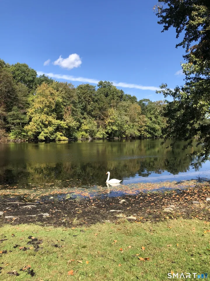 202 Fox Ridge Road Stamford, CT 06903 - Photo 33 of 40