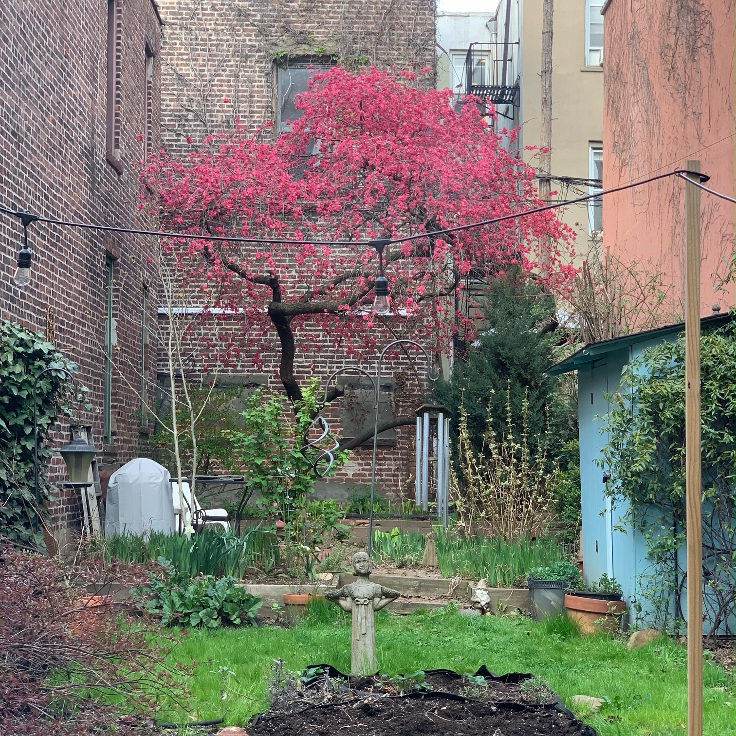 261 8th Street Brooklyn, NY 11215 - Photo 2 of 13