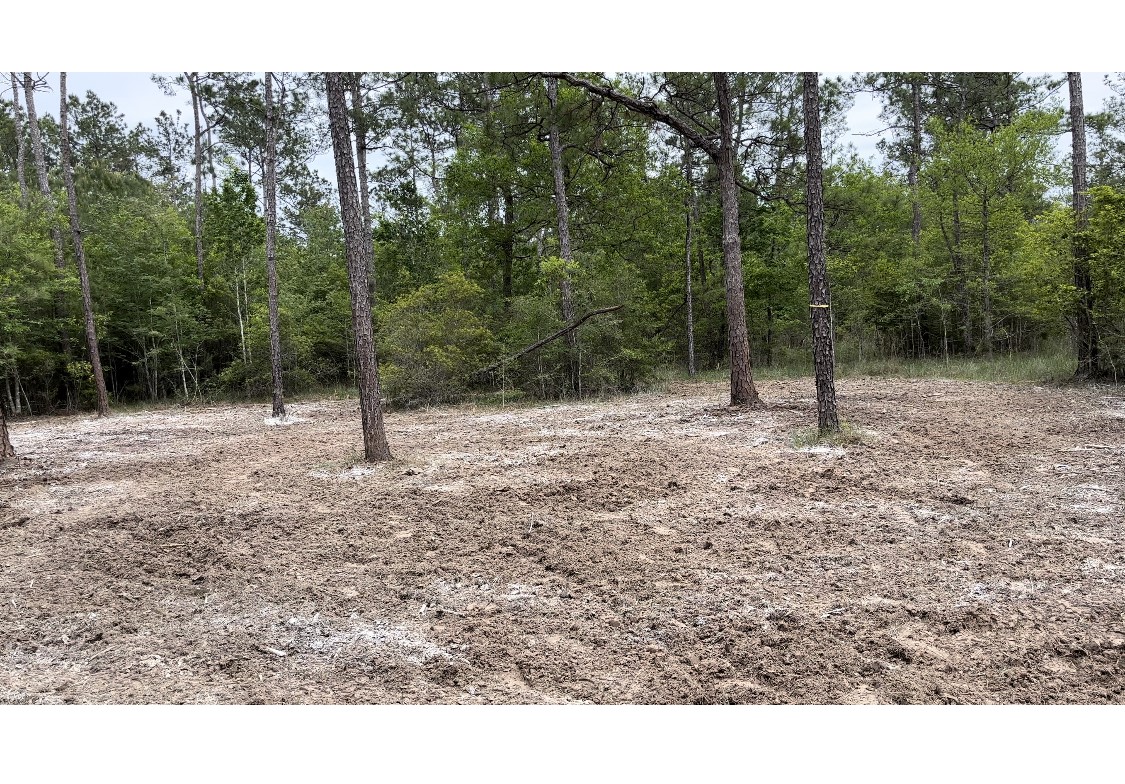 0 Langham Road Kountze, TX 77625 - Photo 2 of 11 Gallery Image 2
