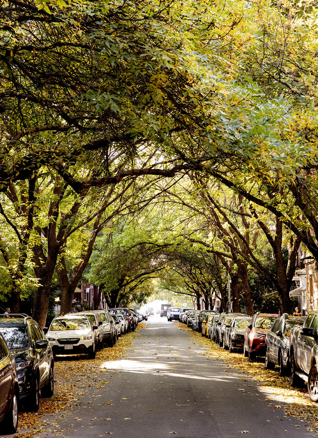 108 India Street, Unit 2A Brooklyn, NY 11222 - Photo 17 of 18