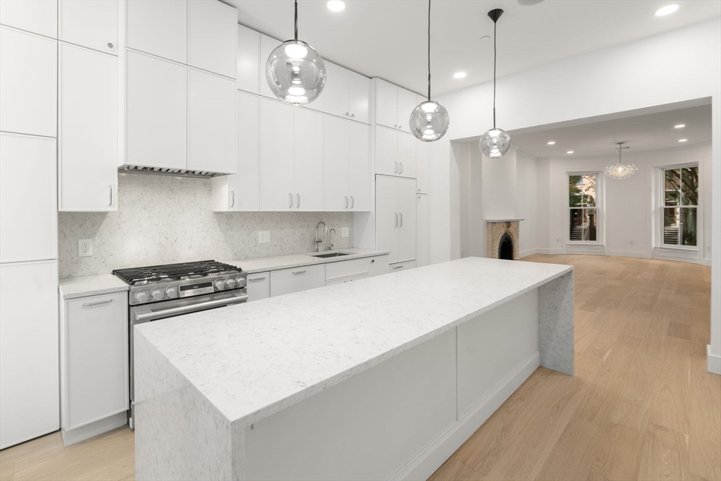 34 Worcester Square, Unit 2 Boston, MA 02118 - Photo 6 of 18 a large kitchen with stainless steel appliances a stove a sink dishwasher and a refrigerator with the bookshelf