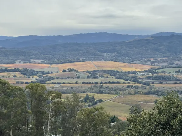 $1,695,000 | 1163 Mountain Pine Road, Cloverdale, CA 95425