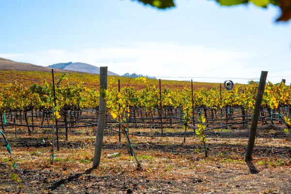 $4,200 | 8 Glenwood Drive, Napa, CA 94559
