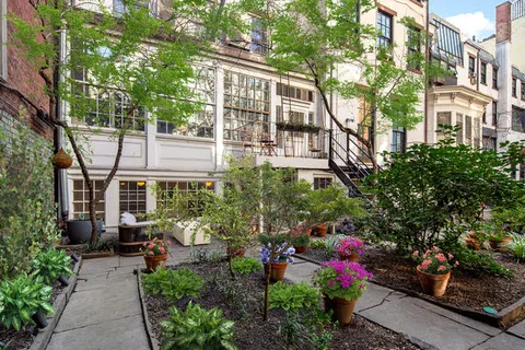 a view of a potted flower in the backyard of a house