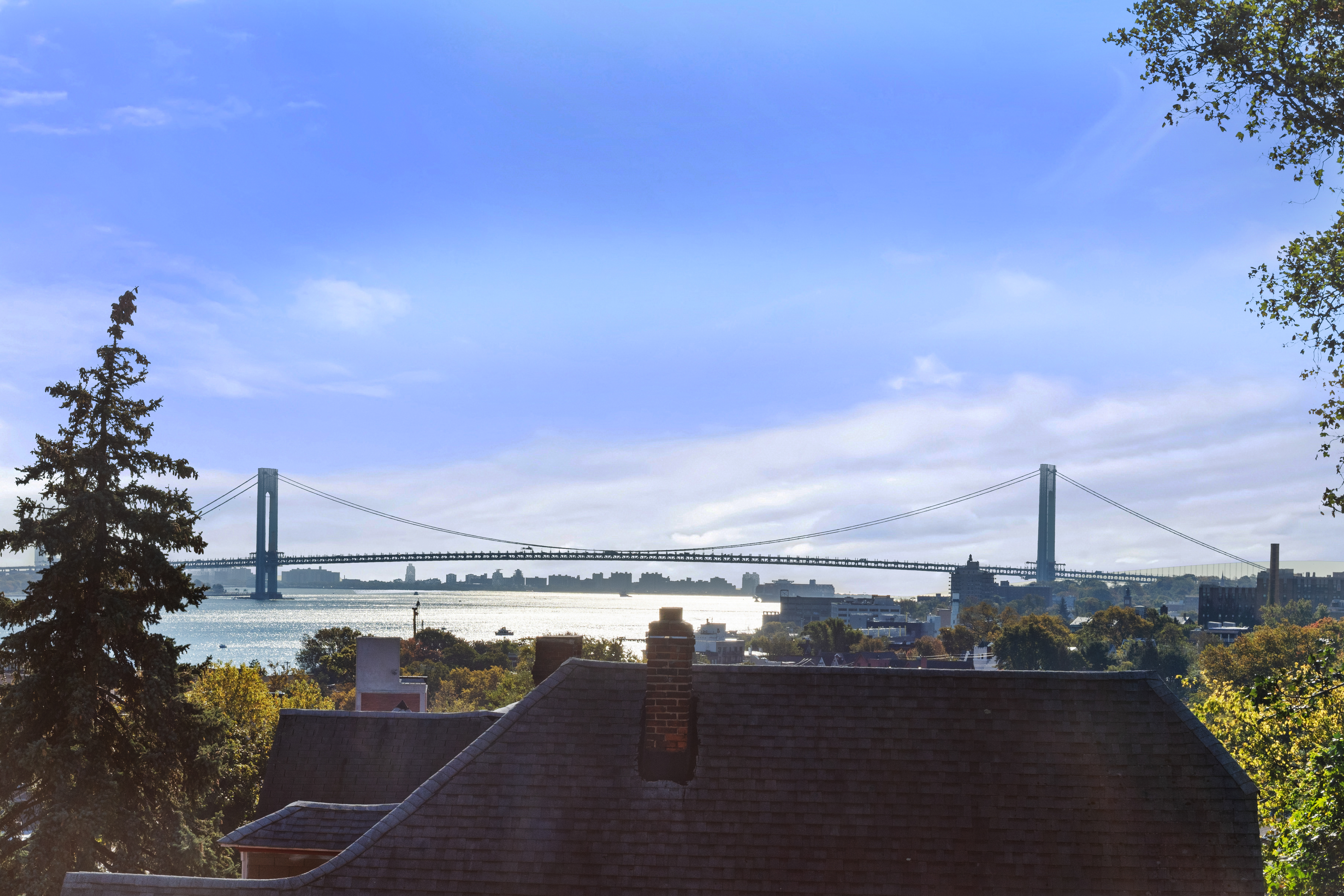 351 St Pauls Avenue Staten Island, NY 10304 - Photo 10 of 36