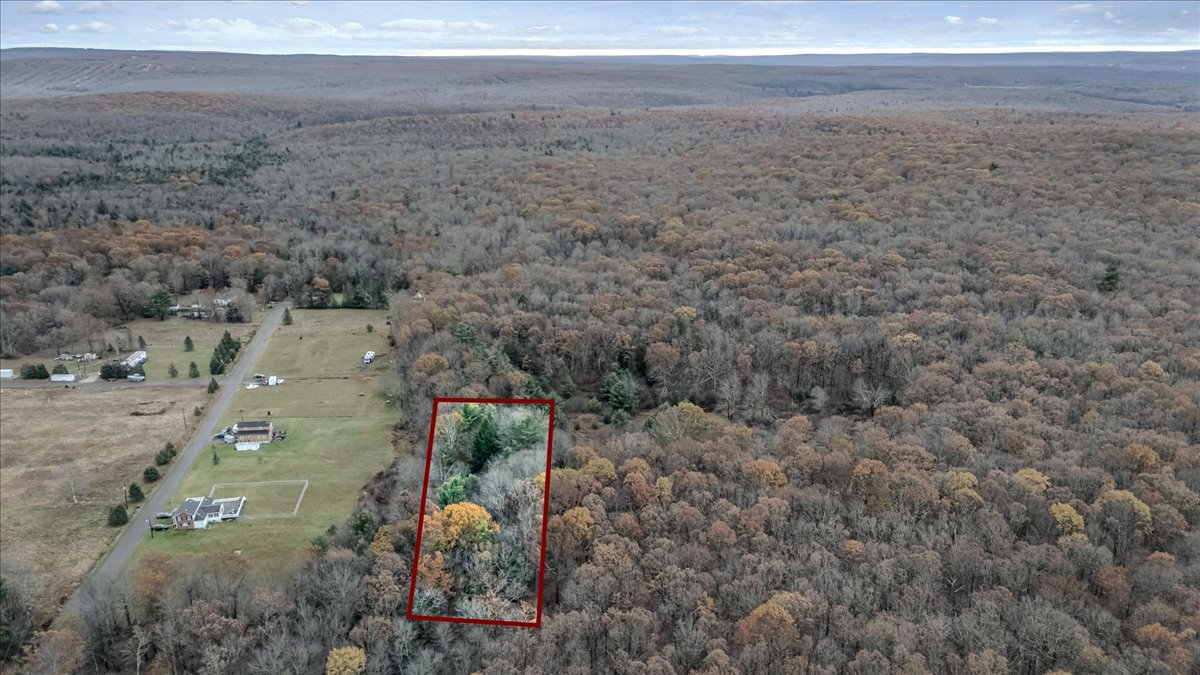 0 Laurel Road White Haven, PA 18661 - Photo 3 of 11