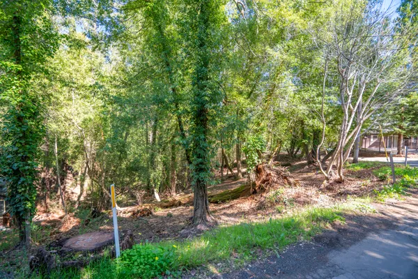 $125,000 | 10612 Canyon Road, Forestville, CA 95436