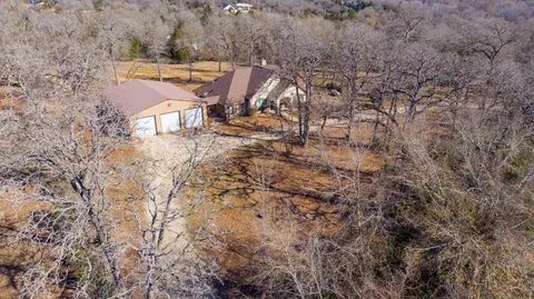a view of a yard with plants and trees