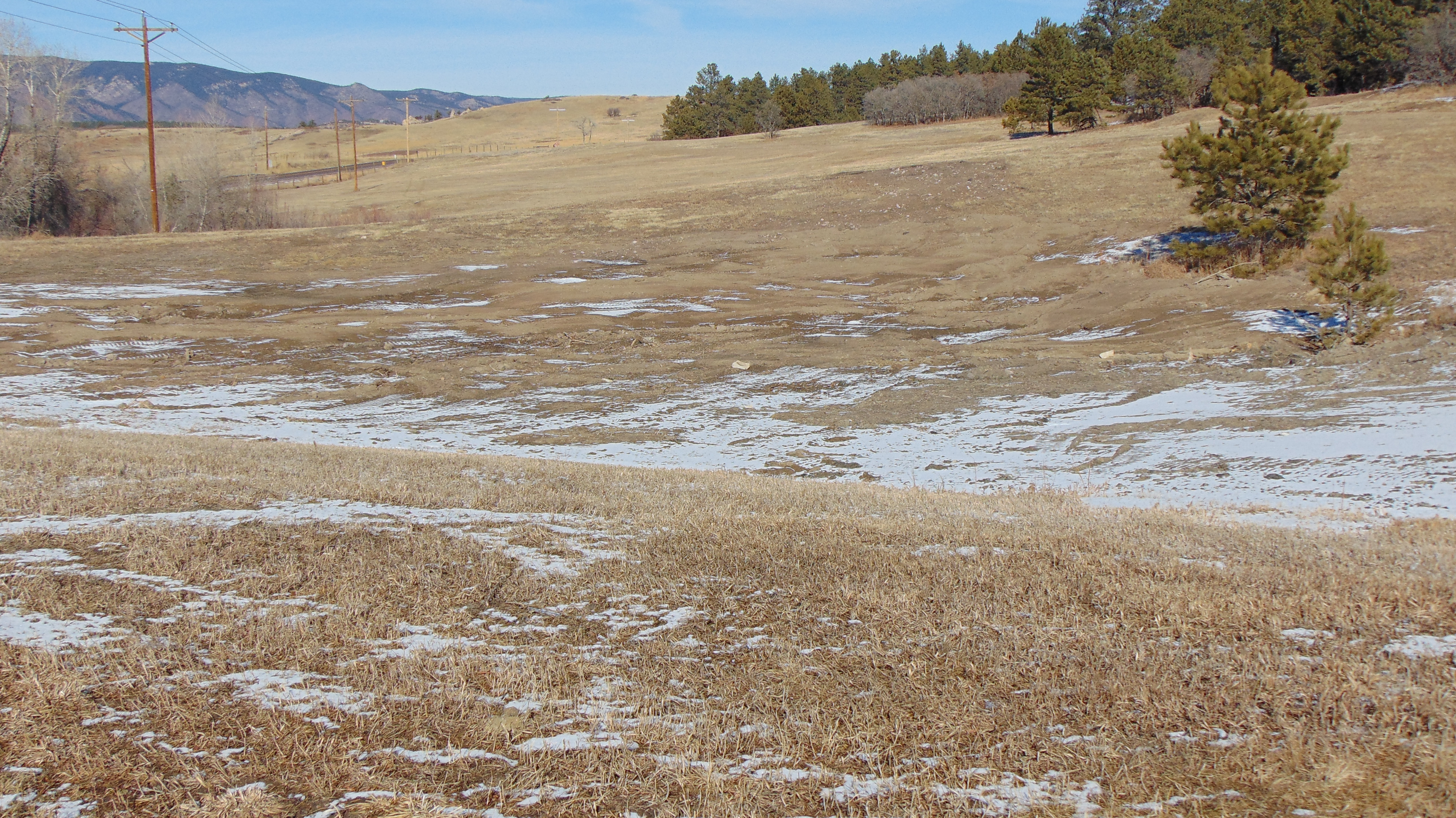 9676 South Perry Park Road Larkspur, CO 80118 - Photo 15 of 16