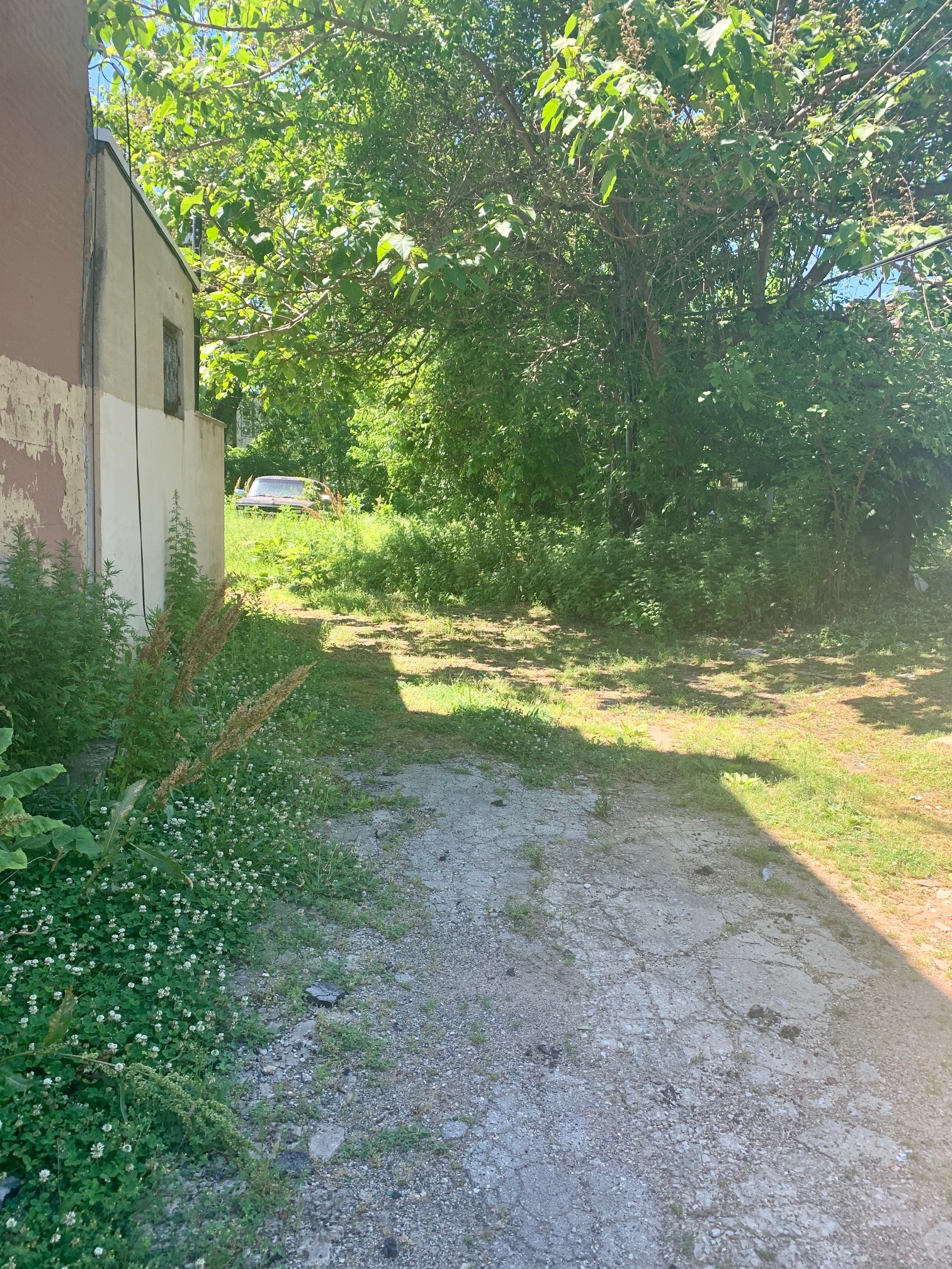 3020 R Euclid Avenue Philadelphia, PA 19121 - Photo 2 of 3 a view of an outdoor space and yard
